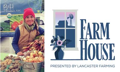 Farmhouse Erika Lavdanski.png