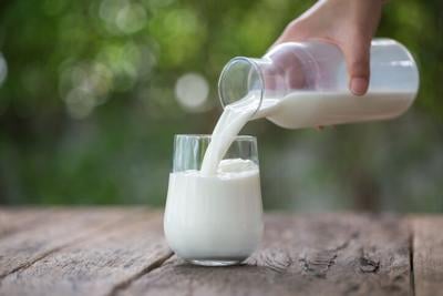 Pouring milk in the glass on the background of nature