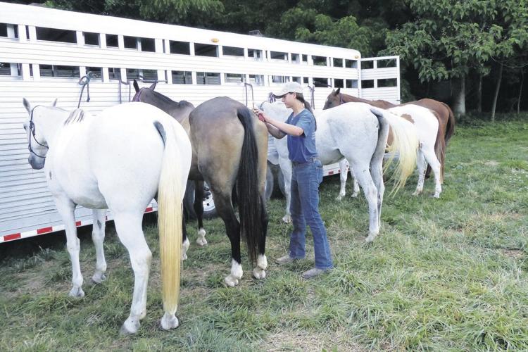 mh_ 0907 Ola polo6.jpg