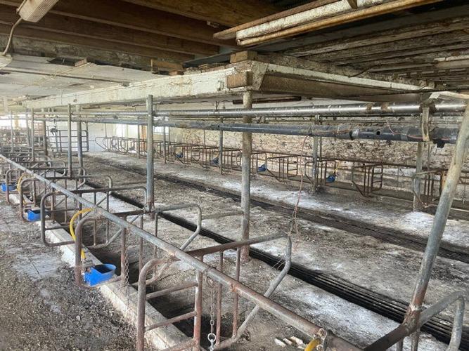 Meadowview Contamination_02.jpg