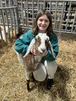 LF20250118-FS-Goats-2.jpg