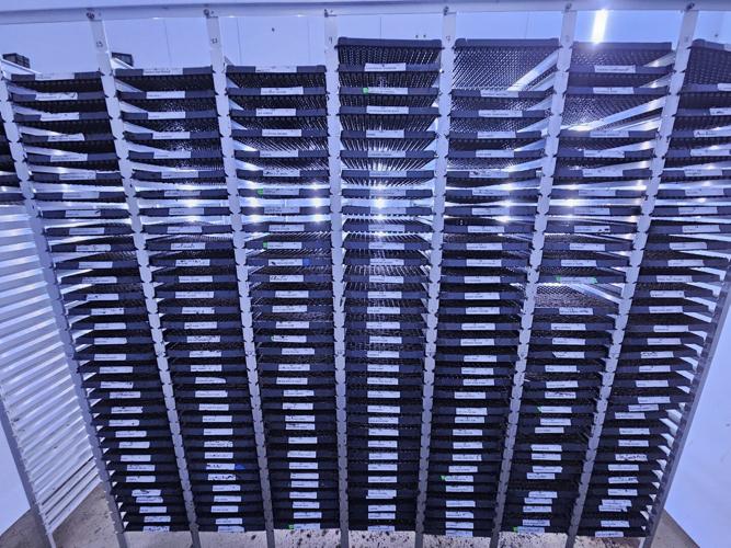 Cross Country_03 (2).jpg