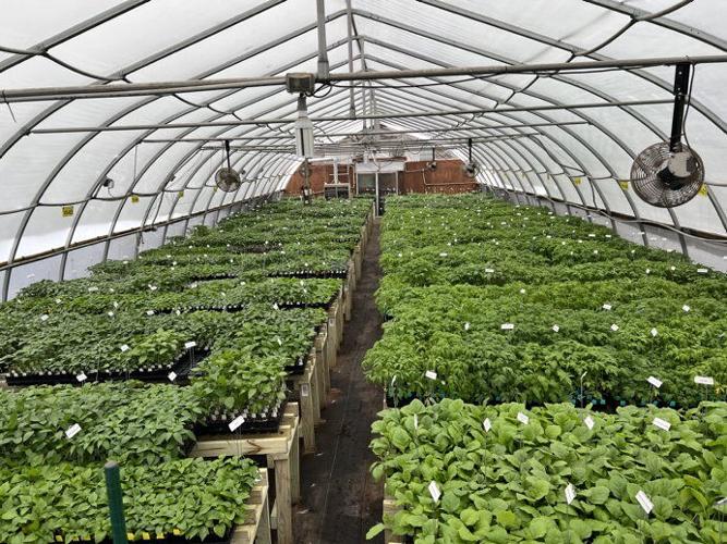 Cross Country_04 (2).jpg