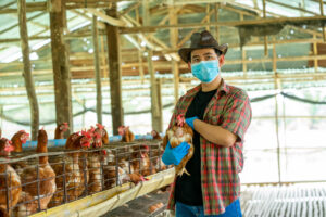 farmer wearing protective mask to prevent bird flu transmission