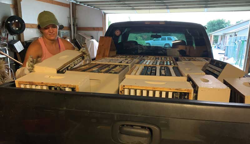 women beekeepers beekeeping