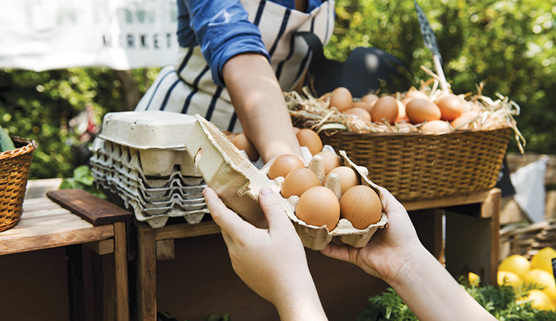 eggs marketing selling