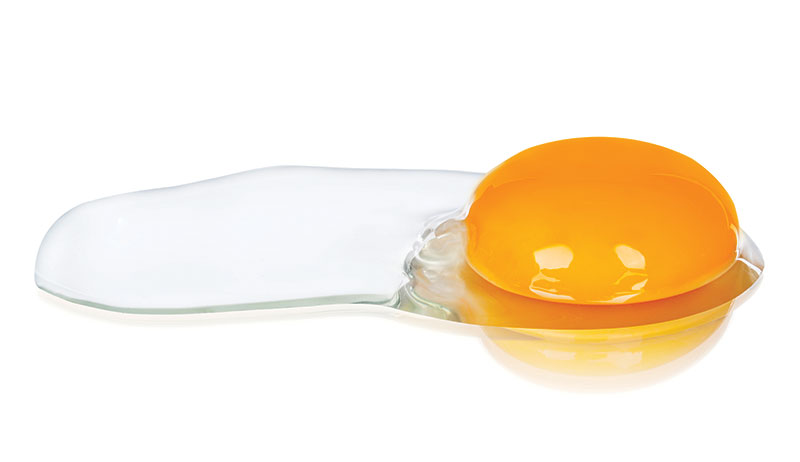raw eggs egg